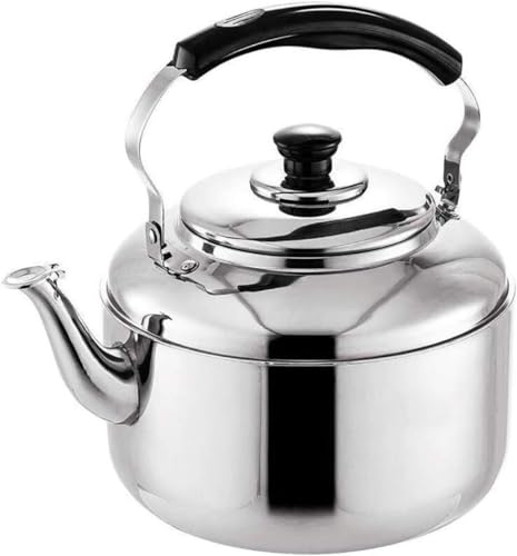 Tetera de acero inoxidable 304, con silbido, de inducción, de acero inoxidable, 4 litros