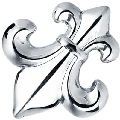 Lot de 2 broches Epingle Broche Fleur de Lys Patriote Laiton Argenté 22 x 16 mm, Acrylique