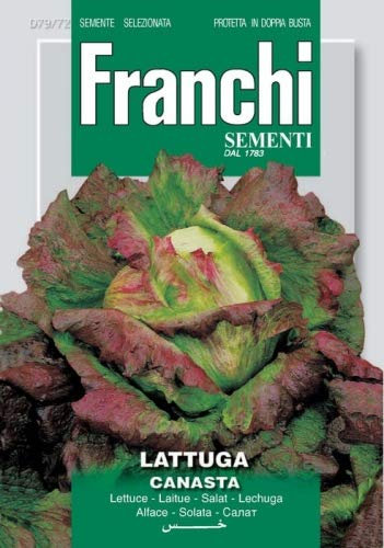 FRANCHI