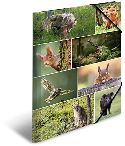HERMA Sammelmappen A3 Waldtiere Set, 3 Stück, Kinder Eckspanner-Mappen aus Pappe mit Tier Motiv, Gummizug, Innenklappen und Innendruck für Jungen und Mädchen