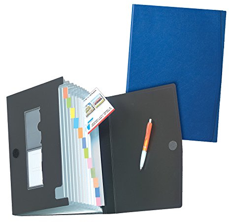 Herlitz 1978048 Fächermappe (A4 PP, 12 Fächer) farbig sortiert