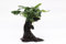 Dennerle-Plants Urwaldbaum Mbuna KLEIN mit Anubia nana
