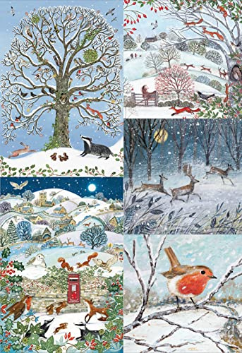 Woodmansterne Artistic Charity Christmas Cards - RSPB Winter Wildlife Scenes - Eco-Friendly & Recyclable - Box of 20 Cards