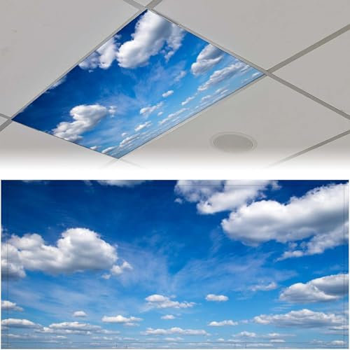 ouyilazl 2 Stück fluoreszierende Lichtabdeckungen für Klassenzimmer, verstreute Wolken, Decken-Dekor-Filter, beseitigt starke Blendung, die Überanstrengung der Augen und Kopfschmerzen verursacht