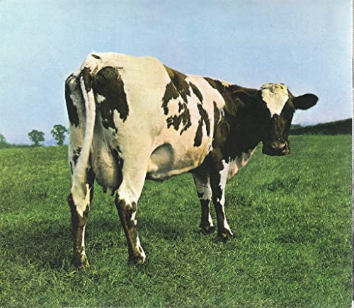 Atom Heart Mother