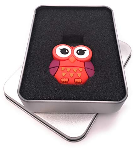 Onwomania Clé USB 3.0 en forme de hibou rouge avec grands yeux dans une boîte cadeau en aluminium 64 Go
