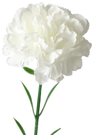 Rikyo 10 Blumenstrauß aus künstlichen Seidennelken, einzelner Blütenkopf, 50,8 cm, Blumenstrauß und grünes Blatt für Heimdekoration, Brautschmuck, Hochzeit, Blumendekoration (weiß)