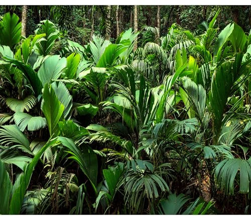 decomonkey - Papier Peint Panoramique Adhésif Plantes 441x315 cm - Stickers Muraux Chambre Déco XXL Autocollant - Vert turquoise - Feuilles tropicales forêt plantes nature photographie jungle