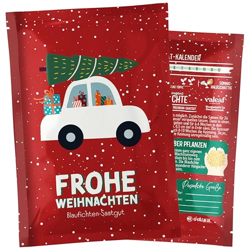 valeaf Dein Weihnachtsbaum zum Pflanzen I Blaufichte Samen I dein Baum 2030 I tolles Geschenk, Wichtelgeschenk u Adventskalender Füllung I Christbaum Tannenbaum Samen mit valeaf Samen