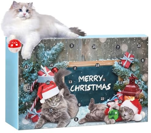 Katzen Spielzeug Weihnachts Adventskalender 2025 Kätzchen Spielzeug für 24