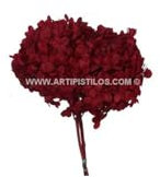 Artipistilos Hortensia Preservada En Ramo - 25 X 23 Cms. Por Ramo, Rojo - Flores Preservadas