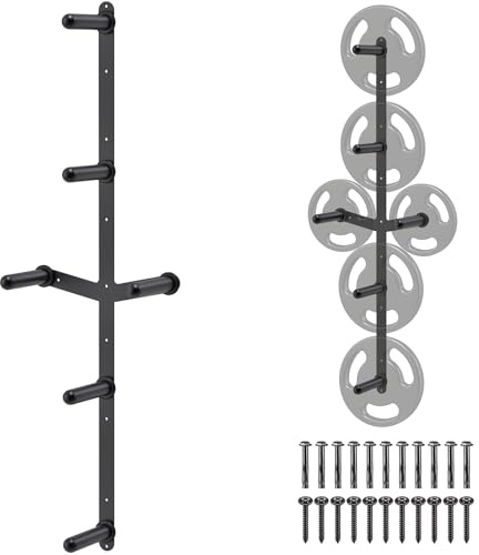 Kipika Wandmontiertes Hantelscheiben-Aufbewahrungsregal (4-Stift und 2-Gewichtsflügel) Langhantel-Aufbewahrungsregal mit T-Bar Row Landmine-Plattformbefestigung,Einfache Installation