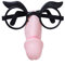 NET TOYS Penis Spaß Brille Willy Partybrille Penisnase Funbrille Hen Spaßbrille JGA Party Scherzbrille Junggesellenabschied Scherzartikel