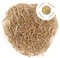 Newlng 500PCS Golden Round Head Mini Nails 1.5mm x 25mm