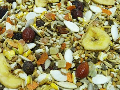 Witte Molen Papagei-Mix/Blue Diamond, 15 kg