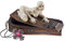 Design Toscano Fluch der Mumie Sarg-Box, Resin, Bunt, 9 x 20.5 x 12.5 cm