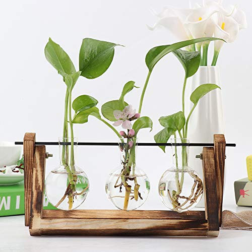 Pannow Vase à Ampoule avec Support en Bois Vintage et Tige rotative en métal pour jardinière en Verre de Bureau pour Plantes hydroponiques, pour décoration intérieure (3 terrariums)