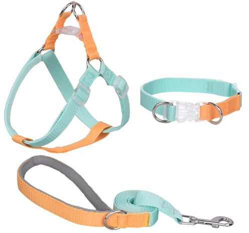 AIITLE Verbessertes Easy Walk Hundehalftergeschirr - No Pull Hundegeschirr Halsband Leinen Set mit gepolstertem Griff - No Choke Haustiergeschirr für kleine Hunde Grün-Gelb S