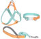 AIITLE Verbessertes Easy Walk Hundehalftergeschirr - No Pull Hundegeschirr Halsband Leinen Set mit gepolstertem Griff - No Choke Haustiergeschirr für kleine Hunde Grün-Gelb S