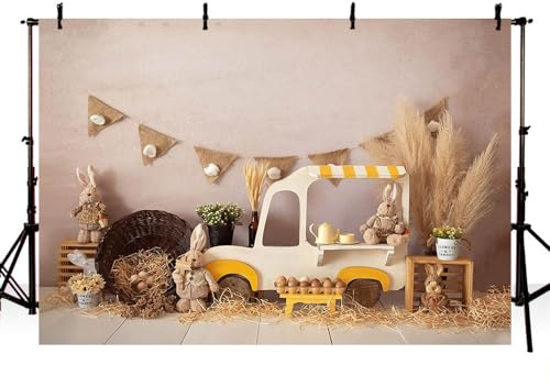 AIBIIN Fotohintergrund für Osterhasen, Boho, Pampasgras, Hase, Ei, Auto, Banner, Geburtstagsparty, Portrait, Dekoration, Hintergrund, Kuchenzertrümmer, Fotostudio, 2,4 x 1,8 m