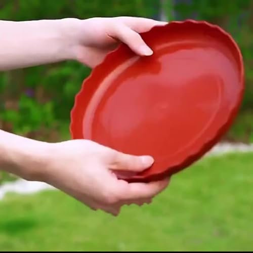 10 Pflanzen-Wasserauffangschalen Elegantes Spitzen-Design für Haus und Garten (rot)