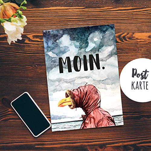 ilka parey wandtattoo-welt A6 Postkarte Print Möwe mit Jacke & Kapuze Spruch Moin Karte Grußkarte pk202