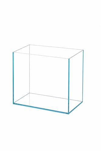 BEGONDIS Randloses Mini-Aquarium, 2,1 L, 15 × 11 × 13 cm | Randloses Mini-Aquarium aus 5 mm Glas; 2,1 L für kleine Aquascapes, Moos, Wasserpflanzen oder Dekoration.