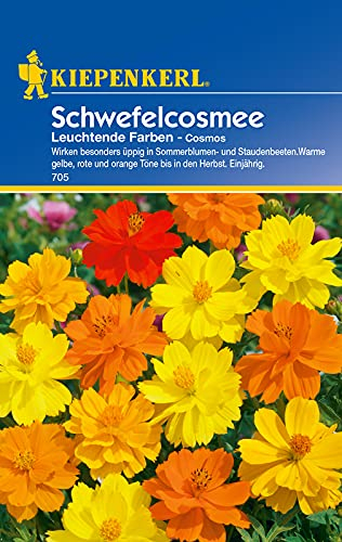Sperli Blumensamen Schmuckkörbchen Schwefelcosmee, grün