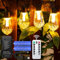 DSLebeen Festoon Lights Outdoor Garden: Rechargeable 5000mAh Battery Operated LED String Lights Waterproof 9M 30FT Large Bulb Decorative Lighting with Remote Control, Portable for Patio, Gazebo, Cafe