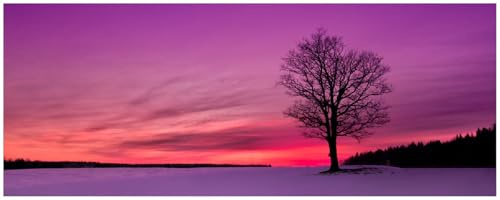 Wallario Memoboard aus Glas mit Motiv, Magnet-Tafel in 32 x 80 cm in Premium Qualität Mond und Baum am Abend bei Schnee