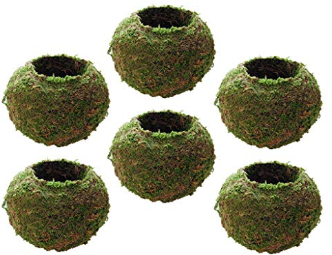 LOVIVER / Set Moos-Pflanzschale Blumentopf Kugel from Blumentöpfe