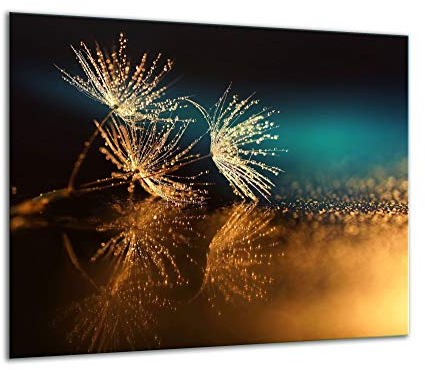 TMK Plaque de recouvrement, 60 x 52 cm, en verre, décorative, pour cuisinières électriques, à induction, anti-éclaboussures, planche à découper, motif fleurs