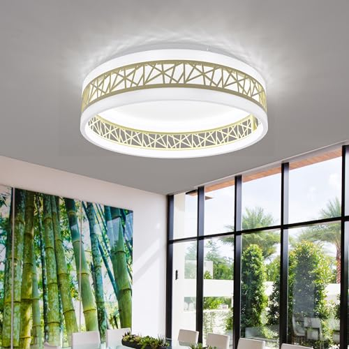 AOEH Deckenlampe LED Deckenleuchte Mit Fernbedienung 40W Runde Modern Deckenleuchten Weiß Gold Deckenbeleuchtung Dimmbar LED lampen deckenlampen für Schlafzimmer lampe Wohnzimmer Küche Büro,40cm
