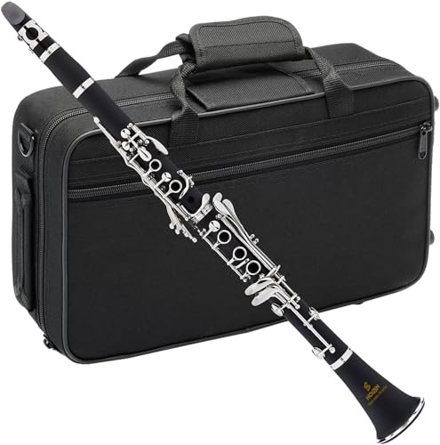 HOGSN clarinet in B flat，beginner's performance, professional playing instrument with box, cleaning kit.