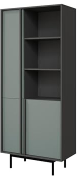 Mirjan24 Standregal Agova 3D WK02 – Bücherregal mit 3 Türen, 3 Regalen und 5 Einlegeböden, Bücherschrank, Aufbewahrungregal (Anthrazit/Aloe)