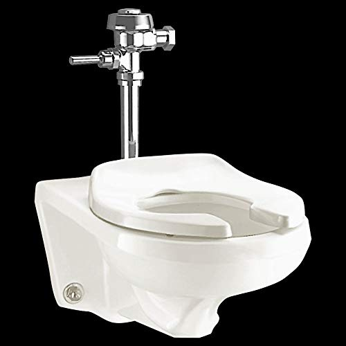 American Standard 2294011EC.020 Afwall ADA Retrofit Universal Bowl with EverClean, White, 1.5