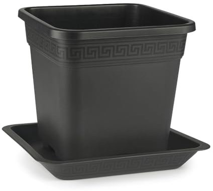 Easy Act Topf viereckig 6L (20,5 x 20,5 x 22cm) mit Untersetzer | Pflanztopf, Blumentopf, Pflanzkübel, Vierkant-Topf, Anzucht, Pflanzgefäß Anzuchttopf Auffangschale