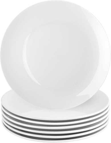 EOGRFW Weiß Porzellan Speiseteller, 6er Set, 25 cm runde Salatteller, weiße Keramik-Essteller für die Küche, mikrowellen- und spülmaschinenfest, kratzfest