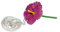 Miniblings Hibiskus Halskette Blume Blumenkette Blumen 80cm Kette rosa pink - Handmade Modeschmuck - Gliederkette versilbert