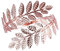 Sharplace Bracelet Manchette Feuille Supérieur, Or Rose