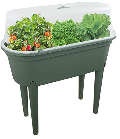 Mini serra per piante, fioriera da giardino, per interni ed esterni