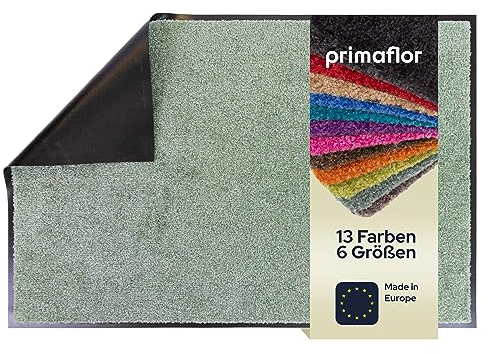 Primaflor Schmutzfangmatte CLEAN – Mint-Grün, 90x120 cm | Saugstarke, Schwer entflammbare Fußmatte | Rutschfester Türvorleger für Innen | Türmatte für Eingangsbereich | Sauberlaufmatte mit Gummirand