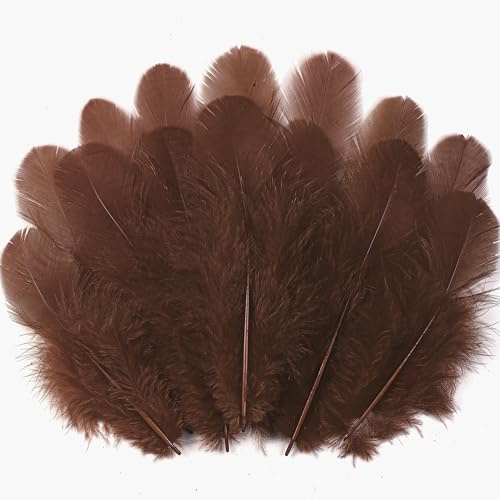 Soarer Braune Federn zum Basteln, 7,6–12,7 cm, Bastelfedern, Großpackung für Hochzeit, Zuhause, Party, Traumfängerzubehör und Bastelarbeiten (braun)