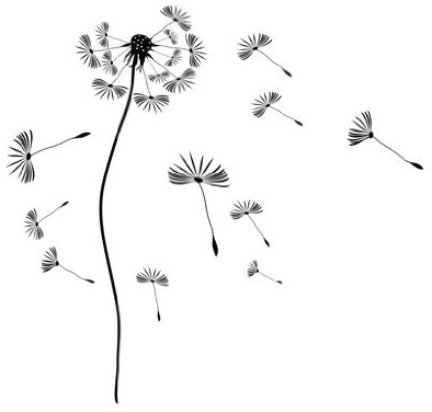 Apalis Fensterfolie Fenstertattoo Pusteblume Glas-Aufkleber Frosted 128 x 122cm