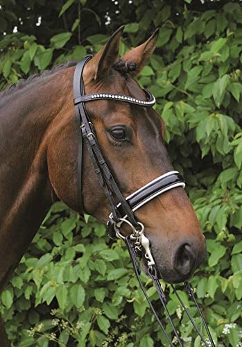 Hans Melzer Horse Equipment Kandare Hamburg LACK, schwarz/silber, Vollblut