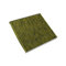 Alfa Romeo, filtro antipolline originale Alfa Romeo Polyphenol L = 230 B = 200 H = 25 mm Alfa Romeo Giulietta tipo 940 a partire dall'anno di costruzione 2010 OE 71778551