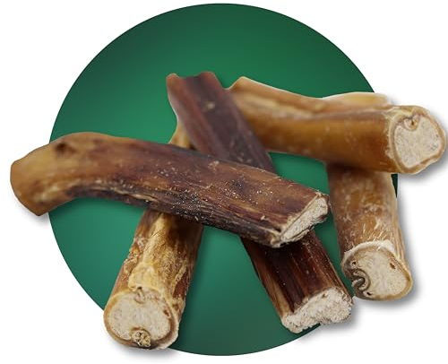 BREERs Getrocknete Ochsenziemer 20 cm für Hunde 500g eigene deutsche Herstellung | Hundeleckerli Kaustange Hundesnack für große, kleine Hunde & Welpen | Kauartikel reinigt und stärkt das Gebiss