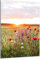 DARO Design - Wand-Bild auf 6mm HDF 30x20 cm Sonnenuntergang Blumenwiese - Wand-Deko Bilder Geschenk