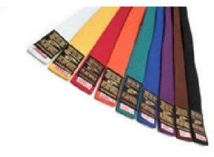 Playwell Cinture colorate per arti marziali, 300 cm