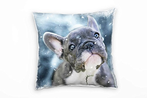 Paul Sinus Art Tiere, kleine französische Bulldogge, grau, weiß Deko Kissen 40x40cm für Couch Sofa Lounge Zierkissen - Dekoration zum Wohlfühlen